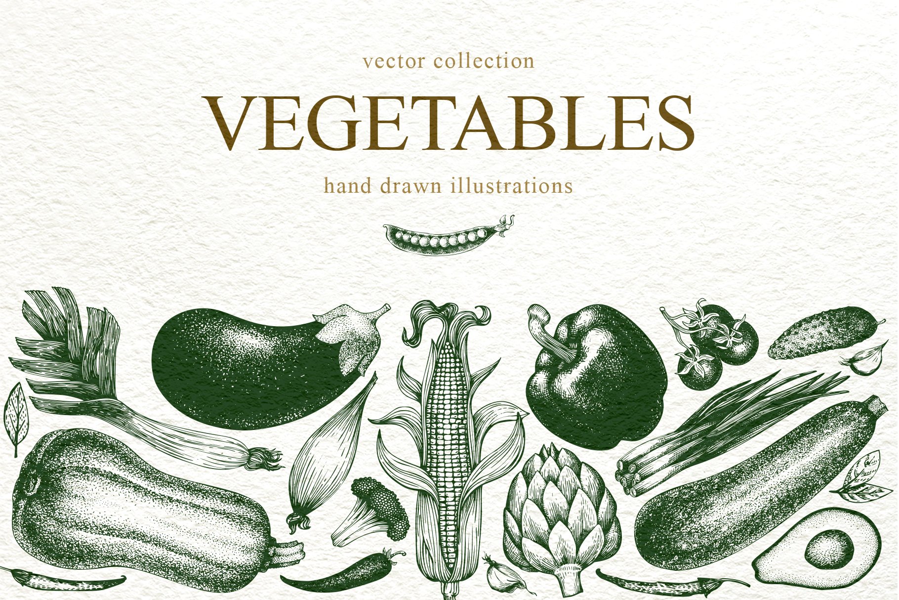 Vegetable Vector Collection cover image.