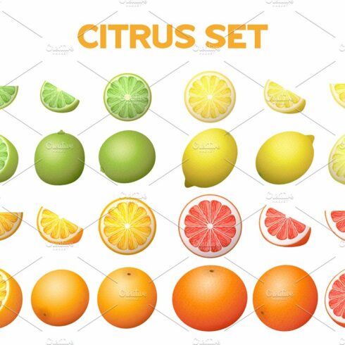 Citrus set cover image.