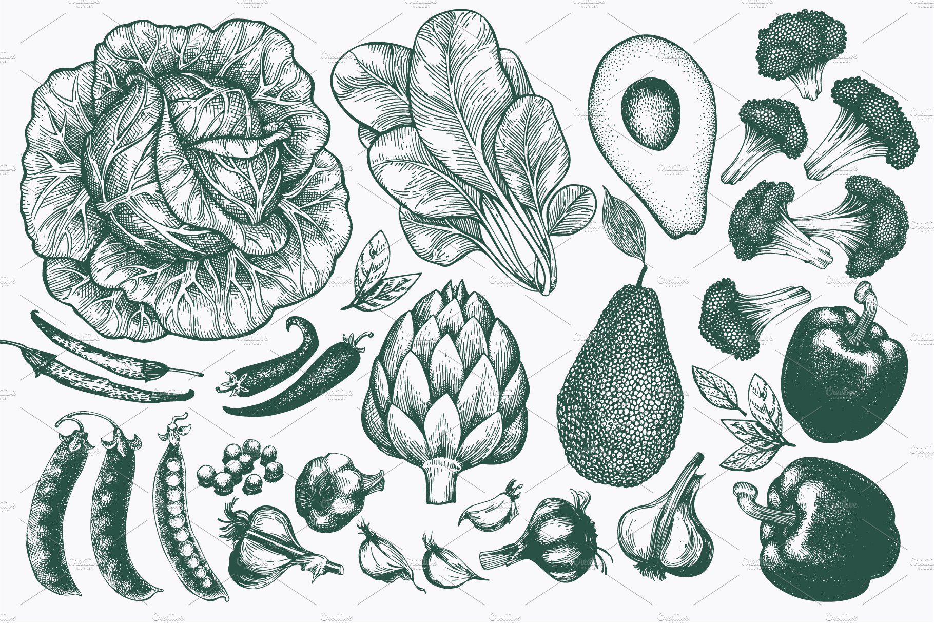 Vegetable Vector Collection preview image.