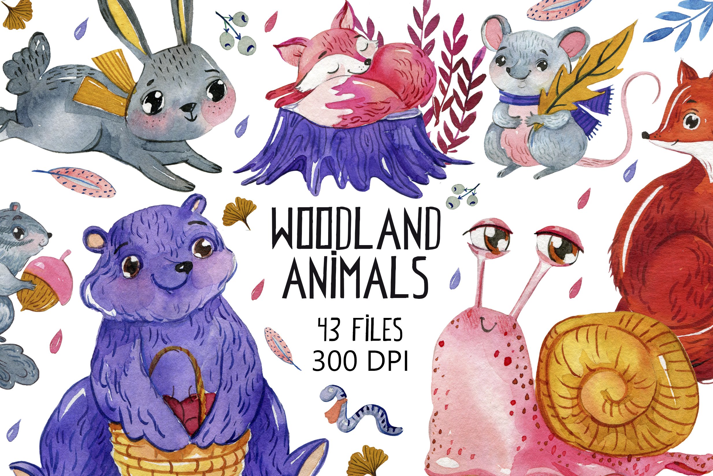 Woodland animals clipart cover image.