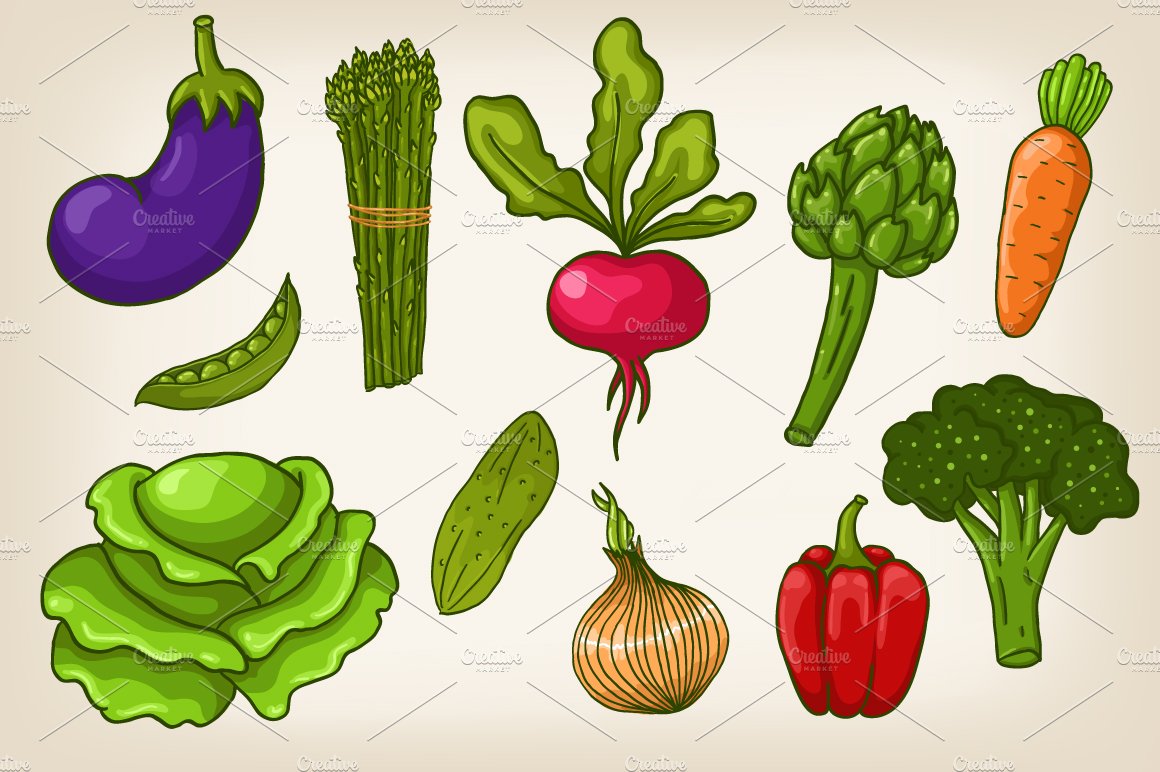 Vector vegetables and patterns cover image.
