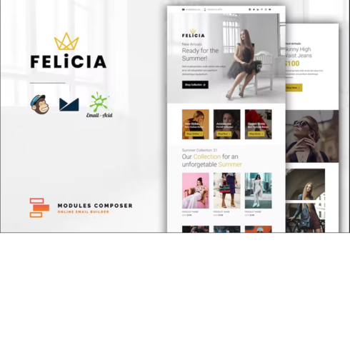 Felicia - E-commerce Responsive Email Template cover image.