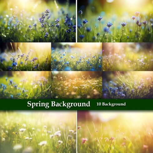 Spring Background with flowers with the sun shining cover image.