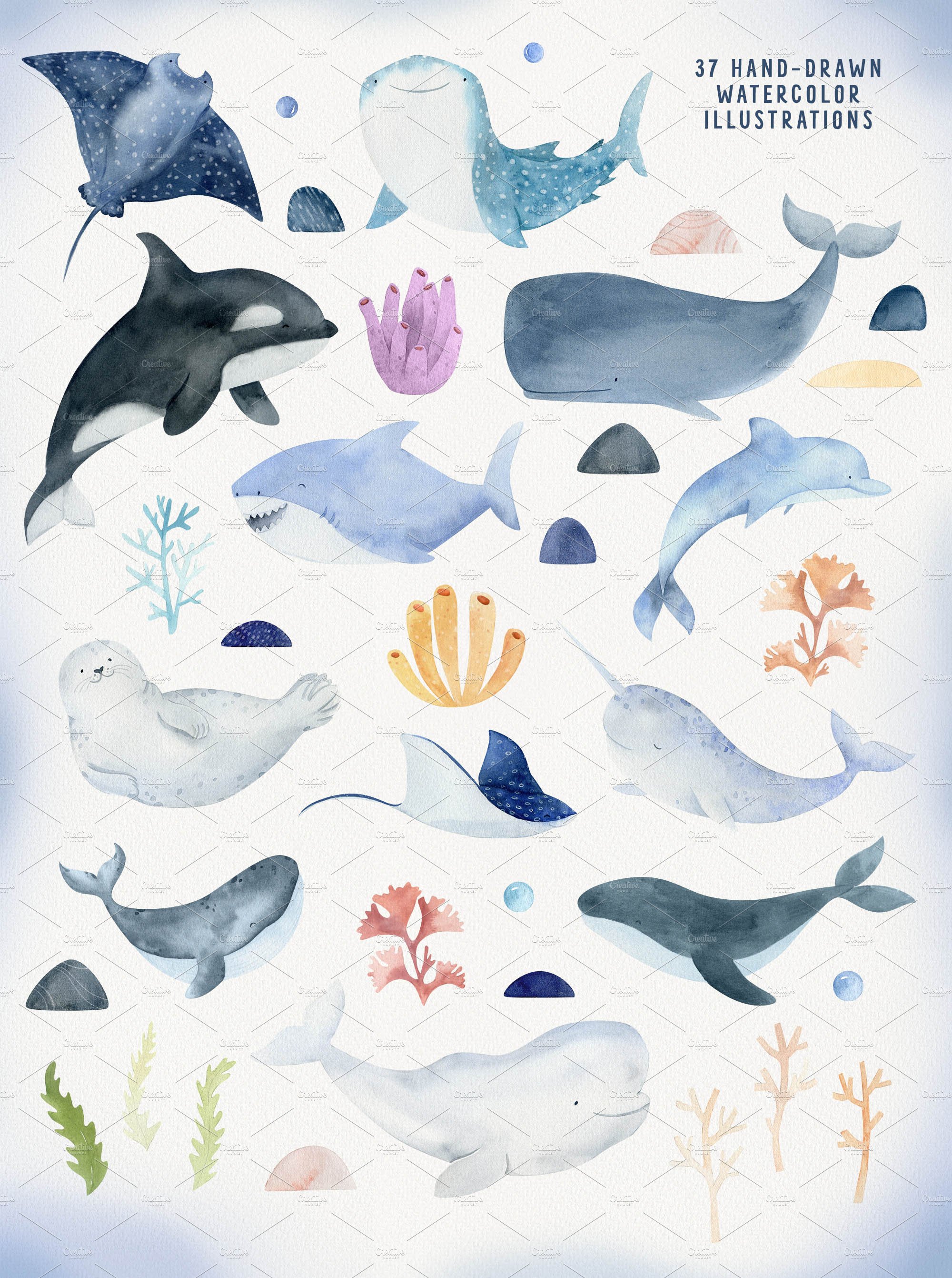 Ocean & Under the sea animal clipart preview image.