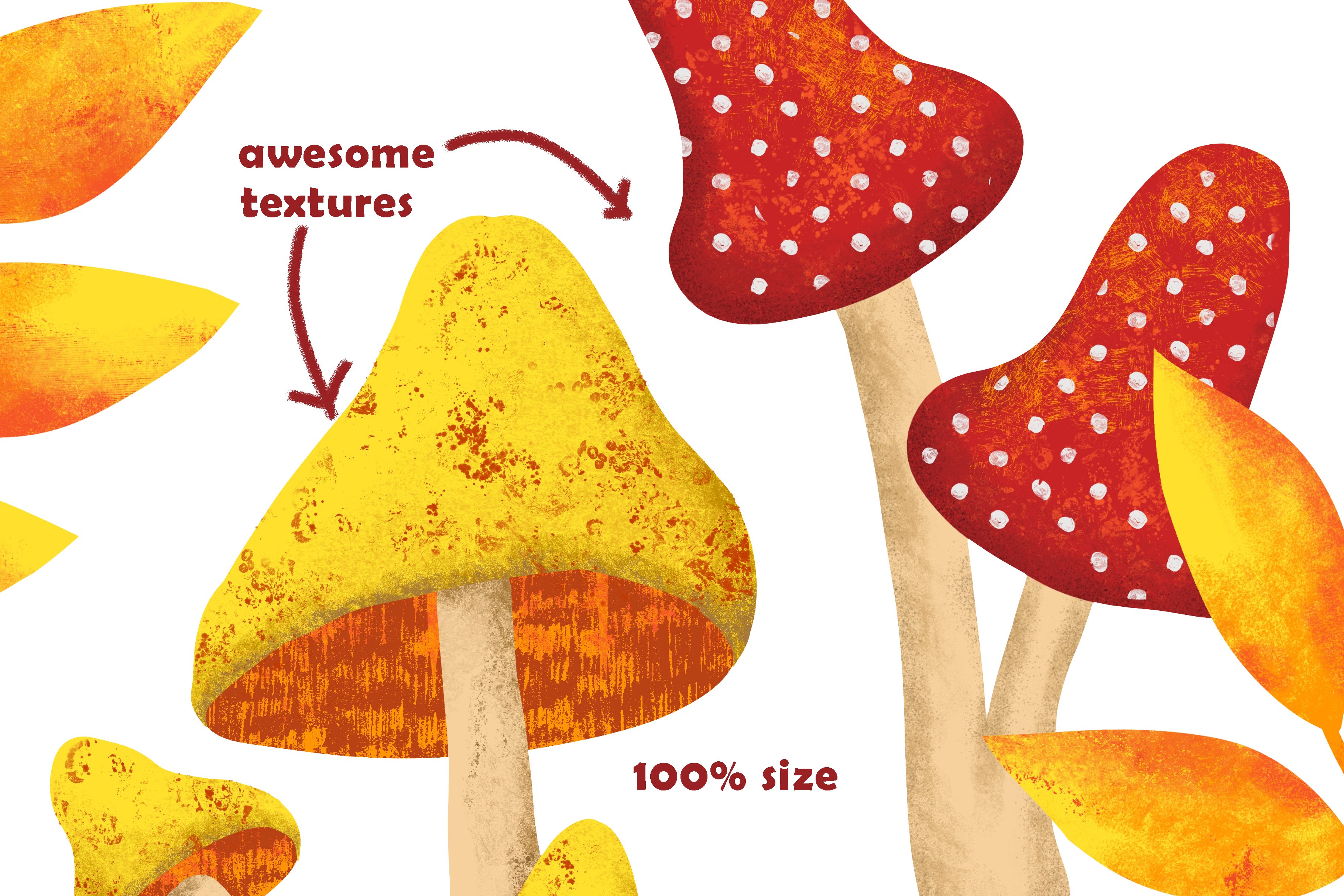 Fall Mushrooms Clipart and Patterns preview image.