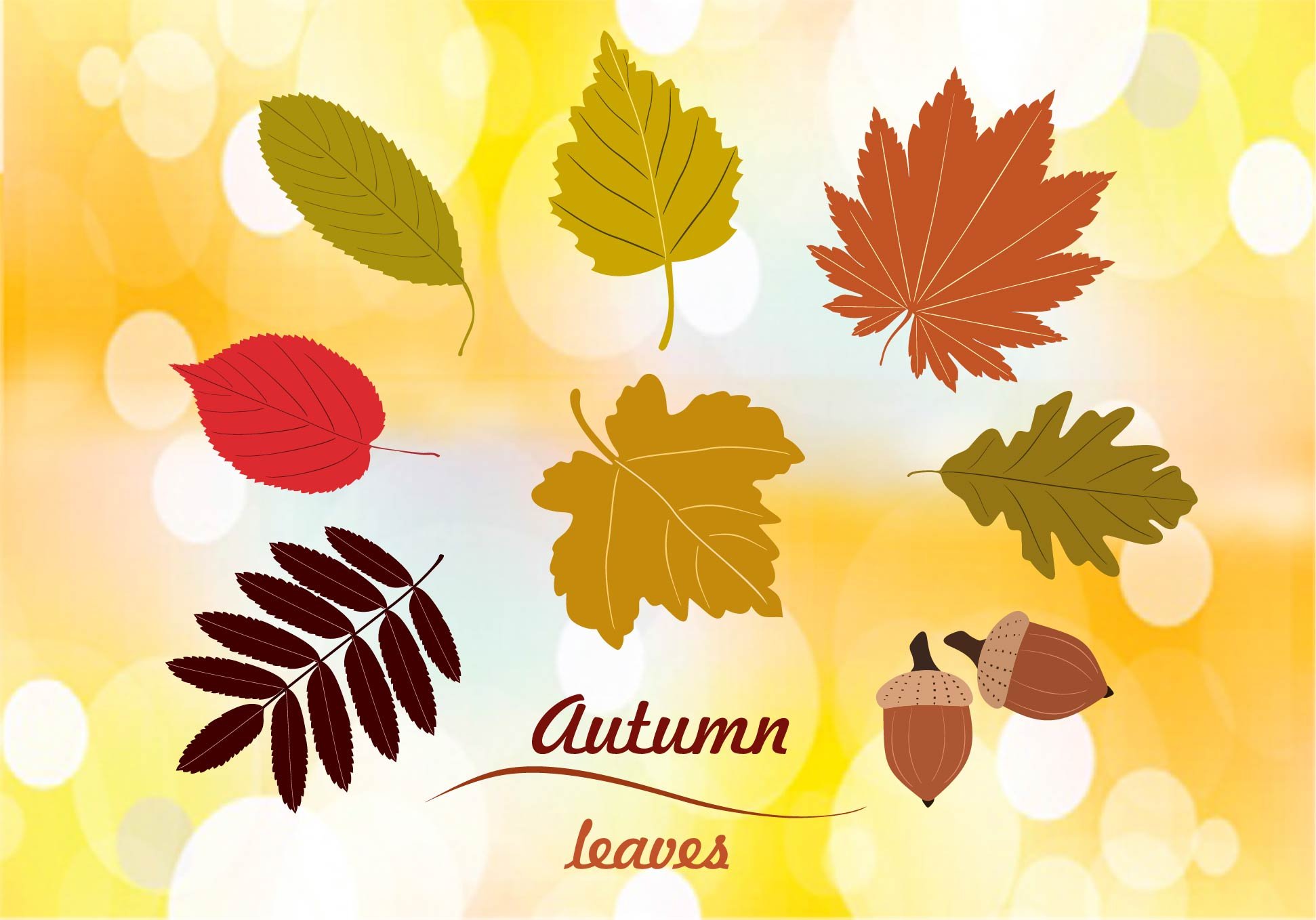 Set of autumn leaves vector cover image.