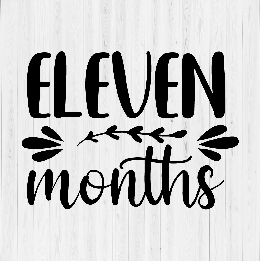 Eleven months cover image.