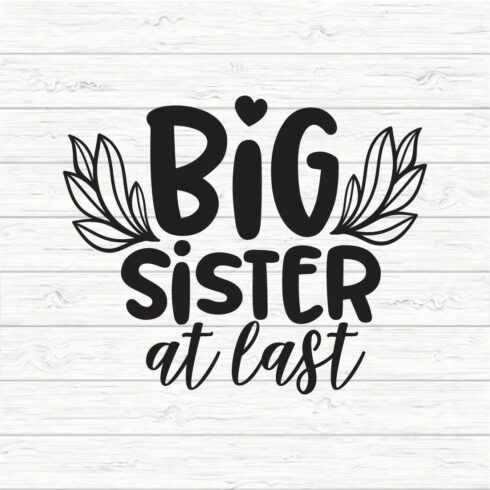 Big Sister at Last cover image.