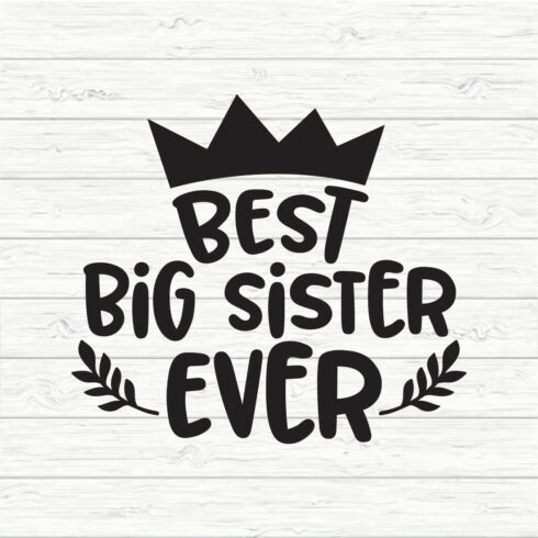 Best Big Sister Ever cover image.