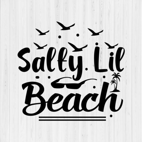 Salty Lil Beach cover image.