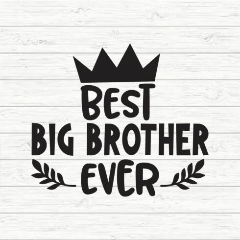Best Big Brother Ever cover image.