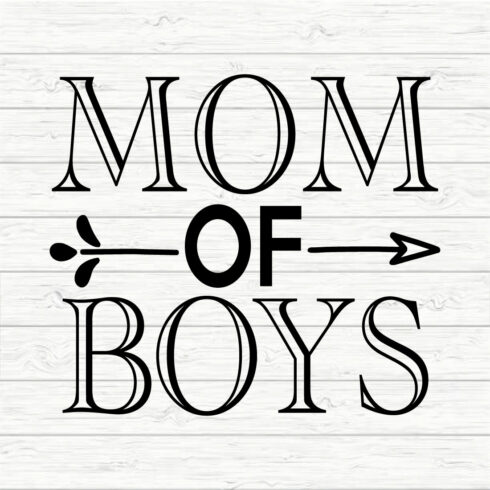 Mom Of Boys cover image.
