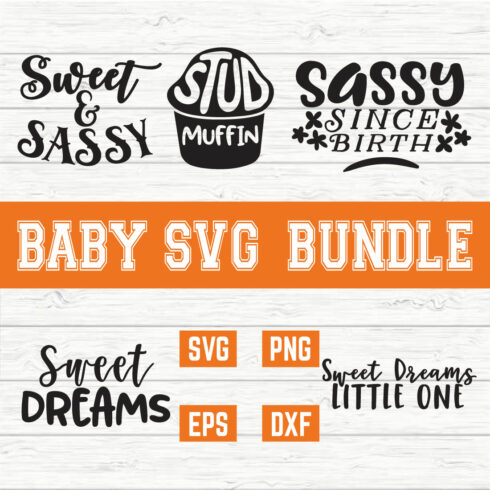 Baby Svg Bundle vol 14 cover image.