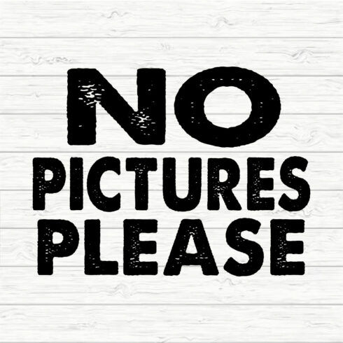 No Pictures Please cover image.