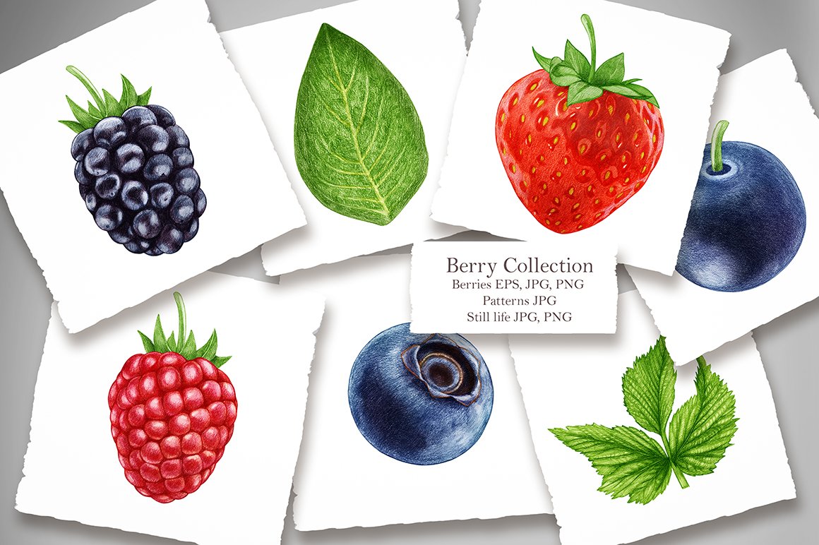Berry Collection cover image.