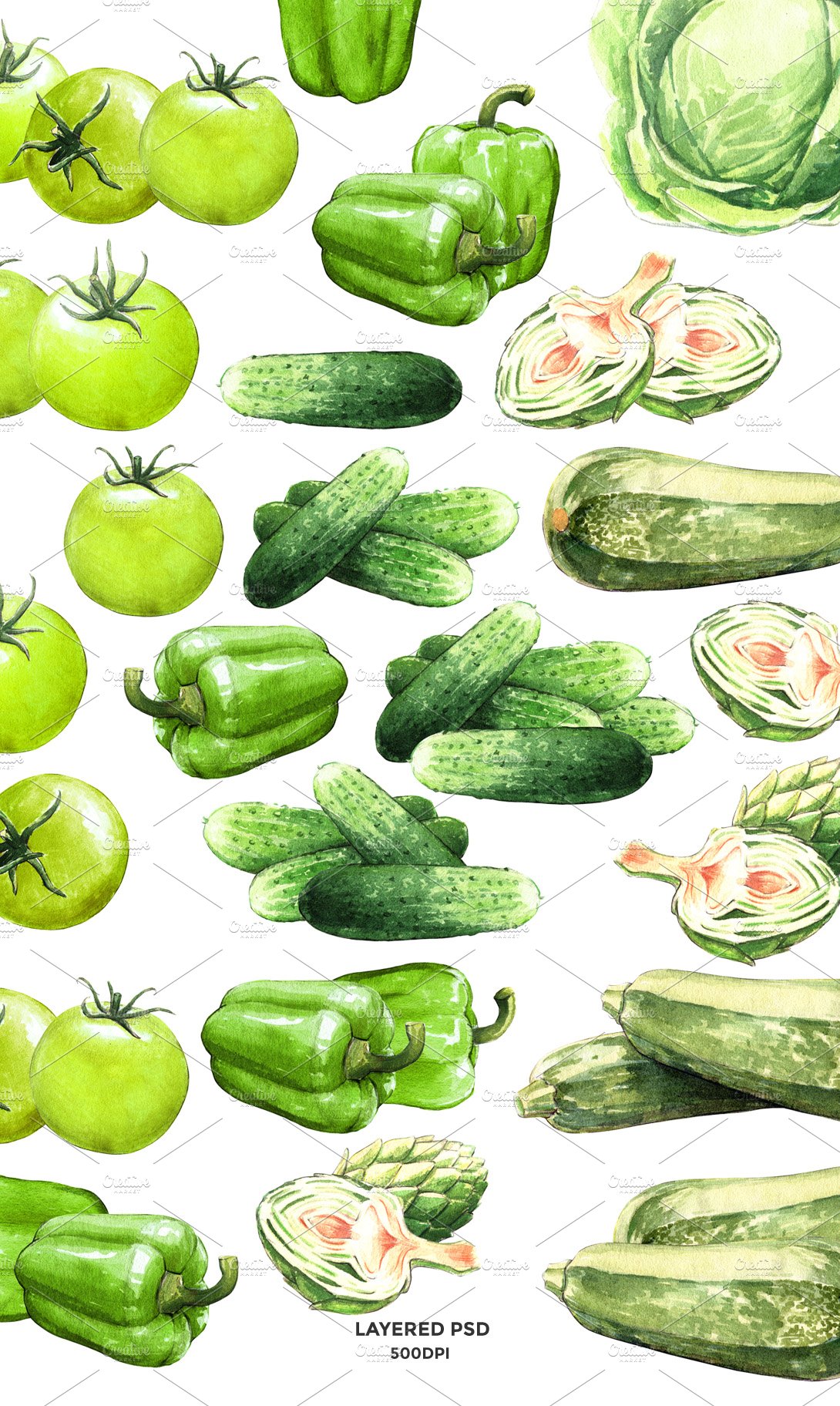 Green Vegetables watercolor big set preview image.