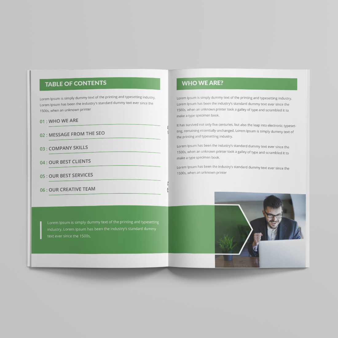 Bifold Business Brochure Design Template preview image.