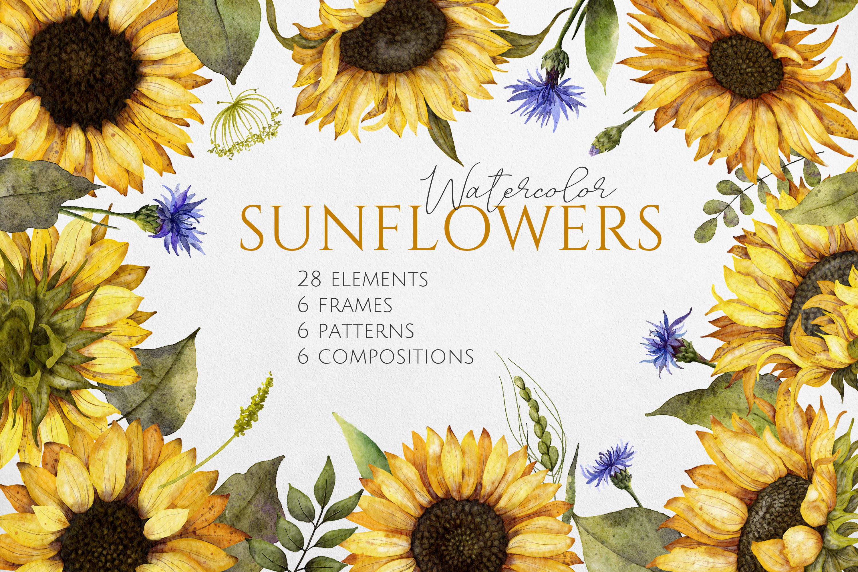 Watercolor Sunflowers Clipart cover image.