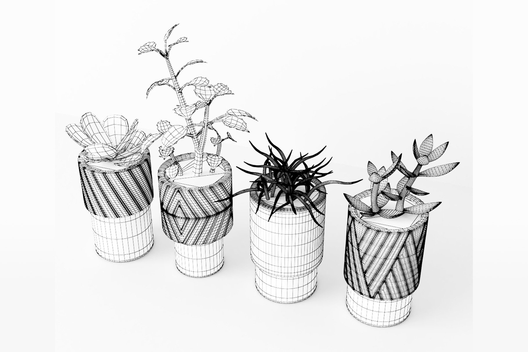 preview decorativeplants 5 wireframe 343