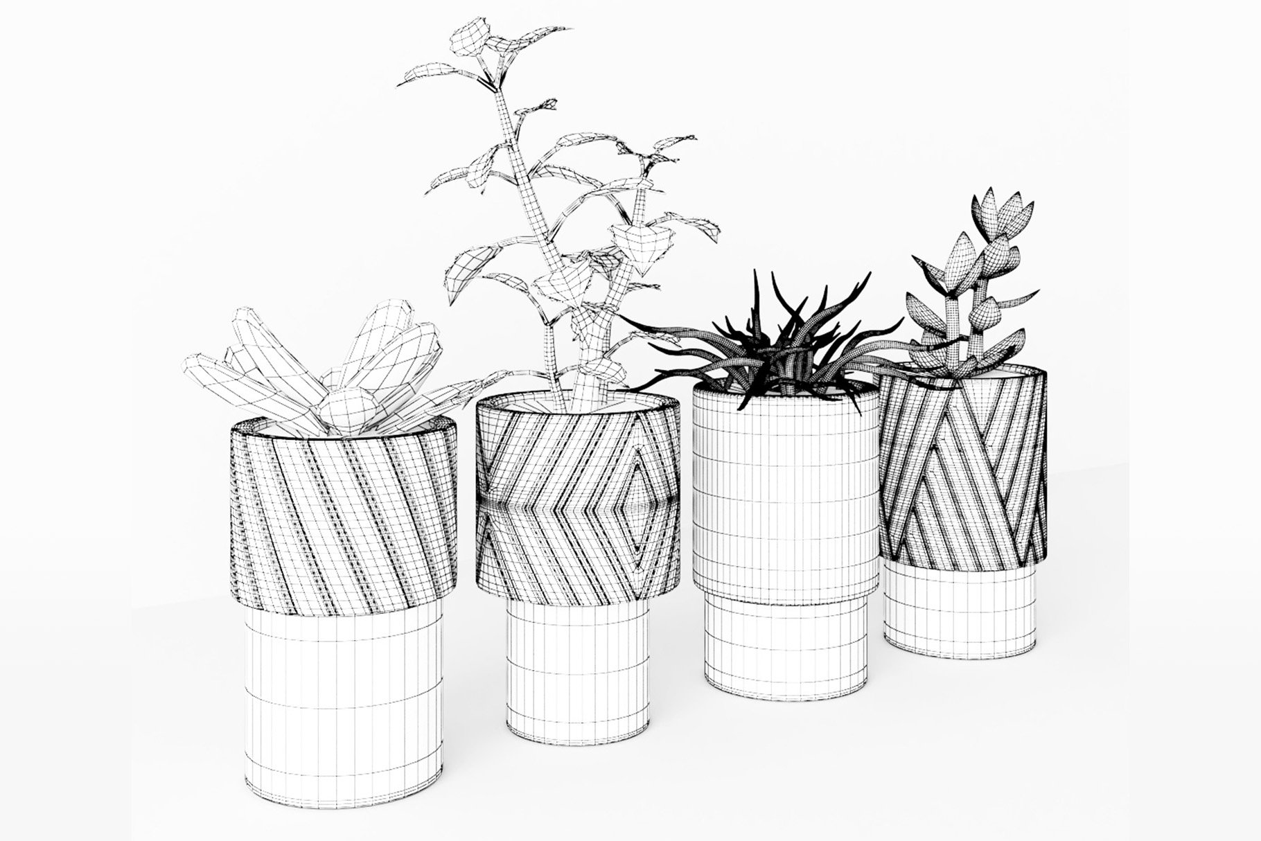 preview decorativeplants 6 wireframe 452