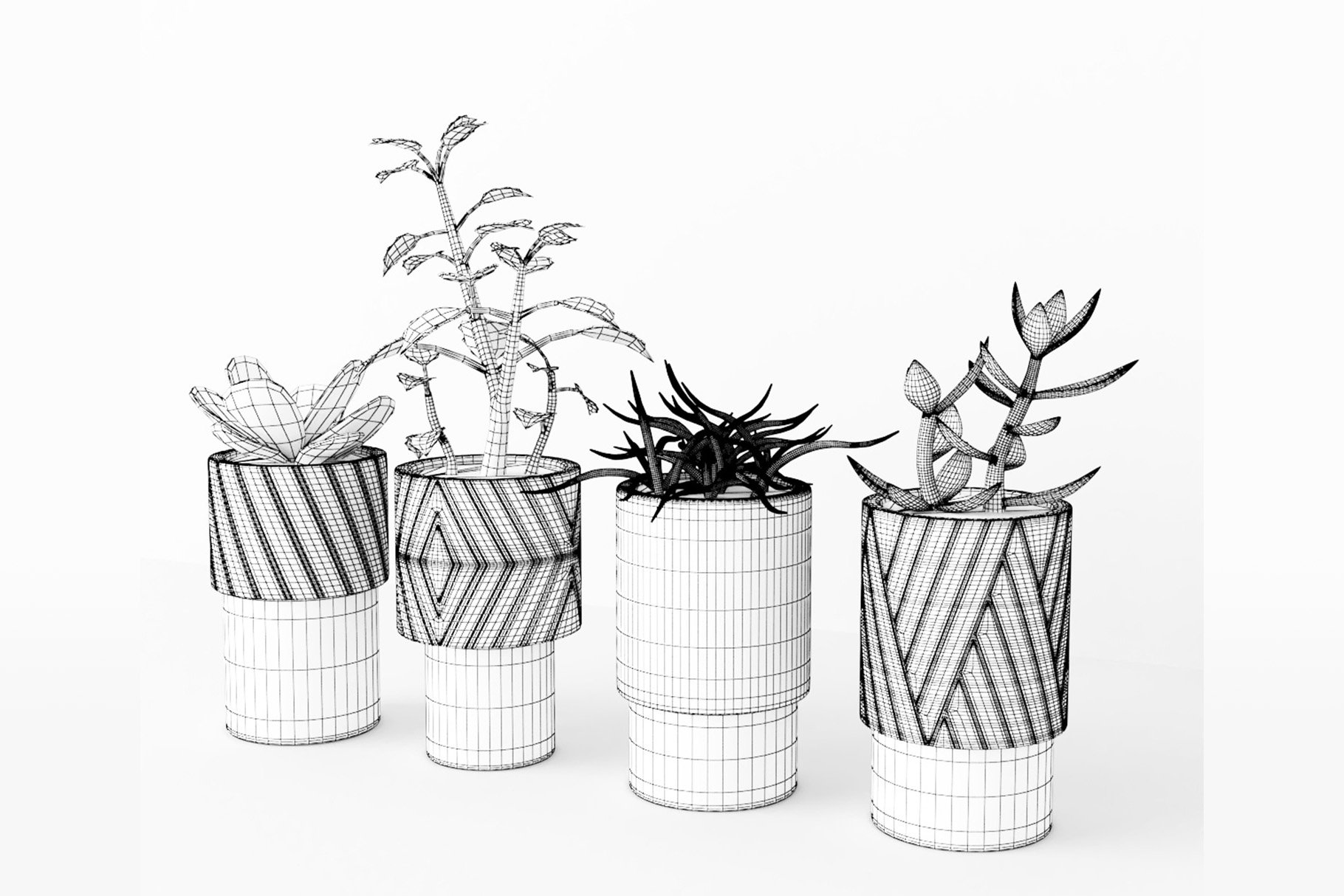 preview decorativeplants 8 wireframe 500