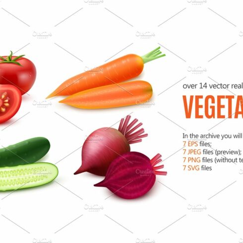 Vegetables Realistic Set cover image.