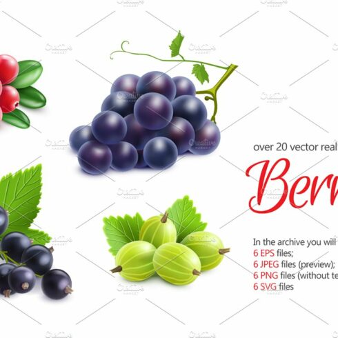 Berries Realistic Set cover image.