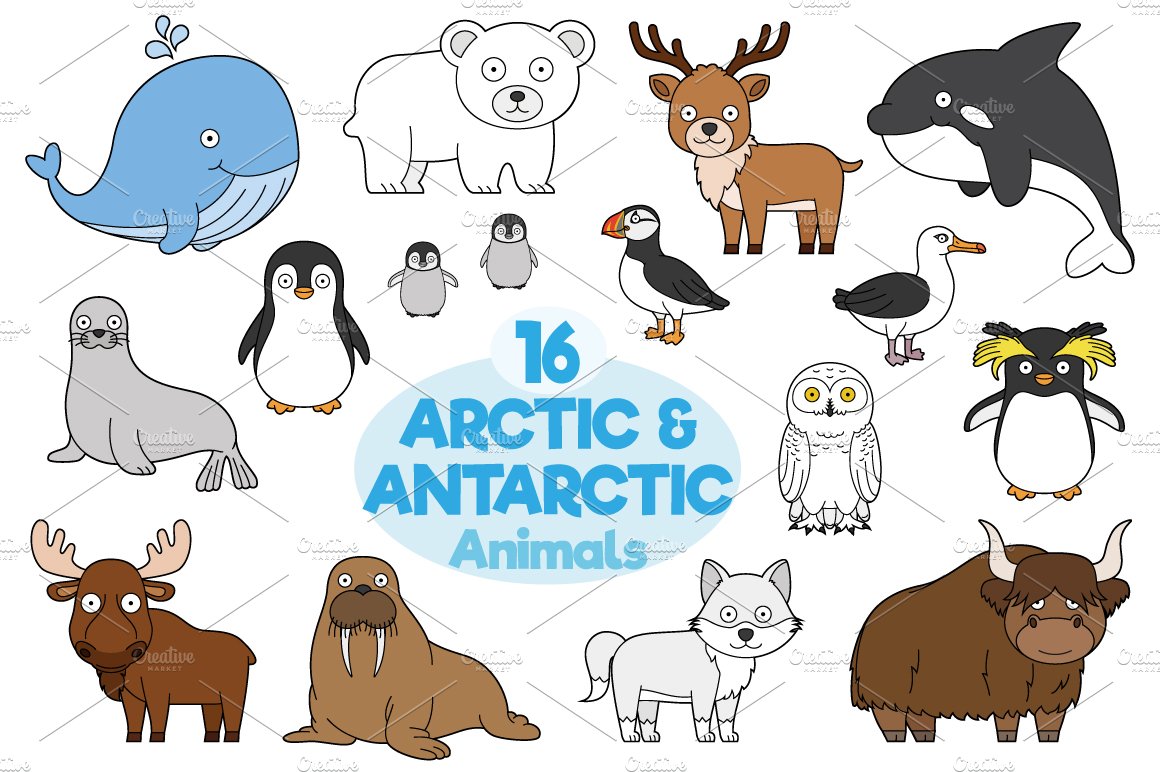 16x Arctic and Antarctic Animals cover image.