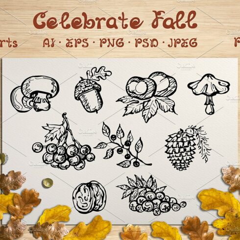 Fall elements, cards and patterns cover image.
