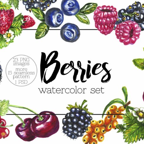 Watercolor berries set cover image.