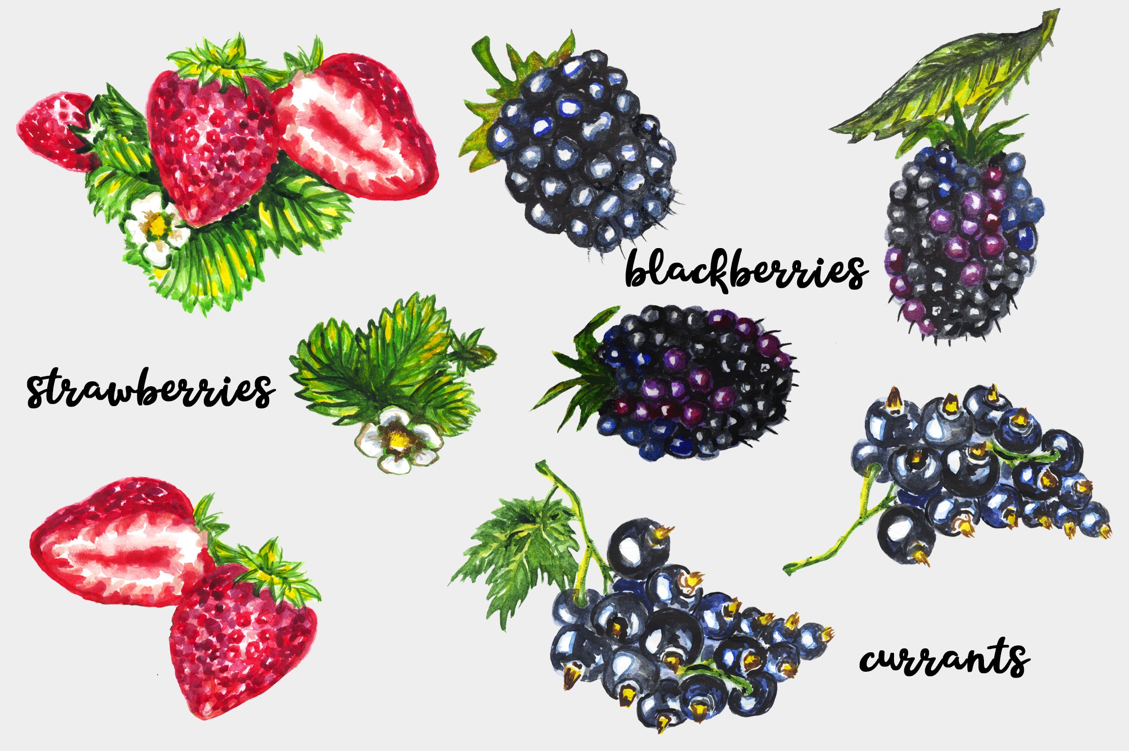 Watercolor berries set preview image.
