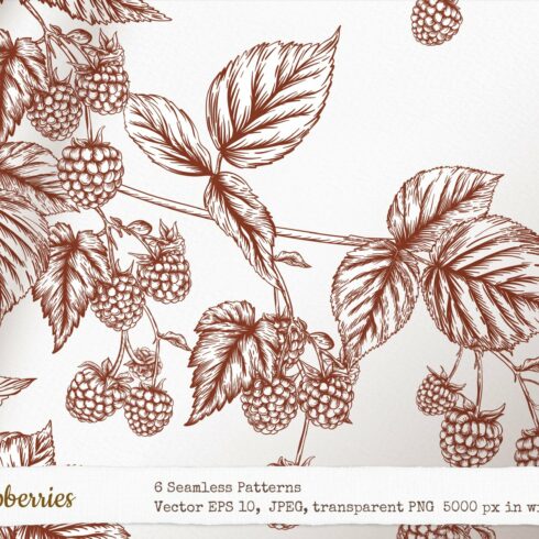 Raspberries - 6 Seamless Patterns cover image.