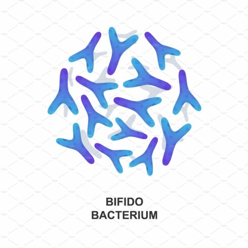 Bifidobacterium. Probiotic bacteria cover image.