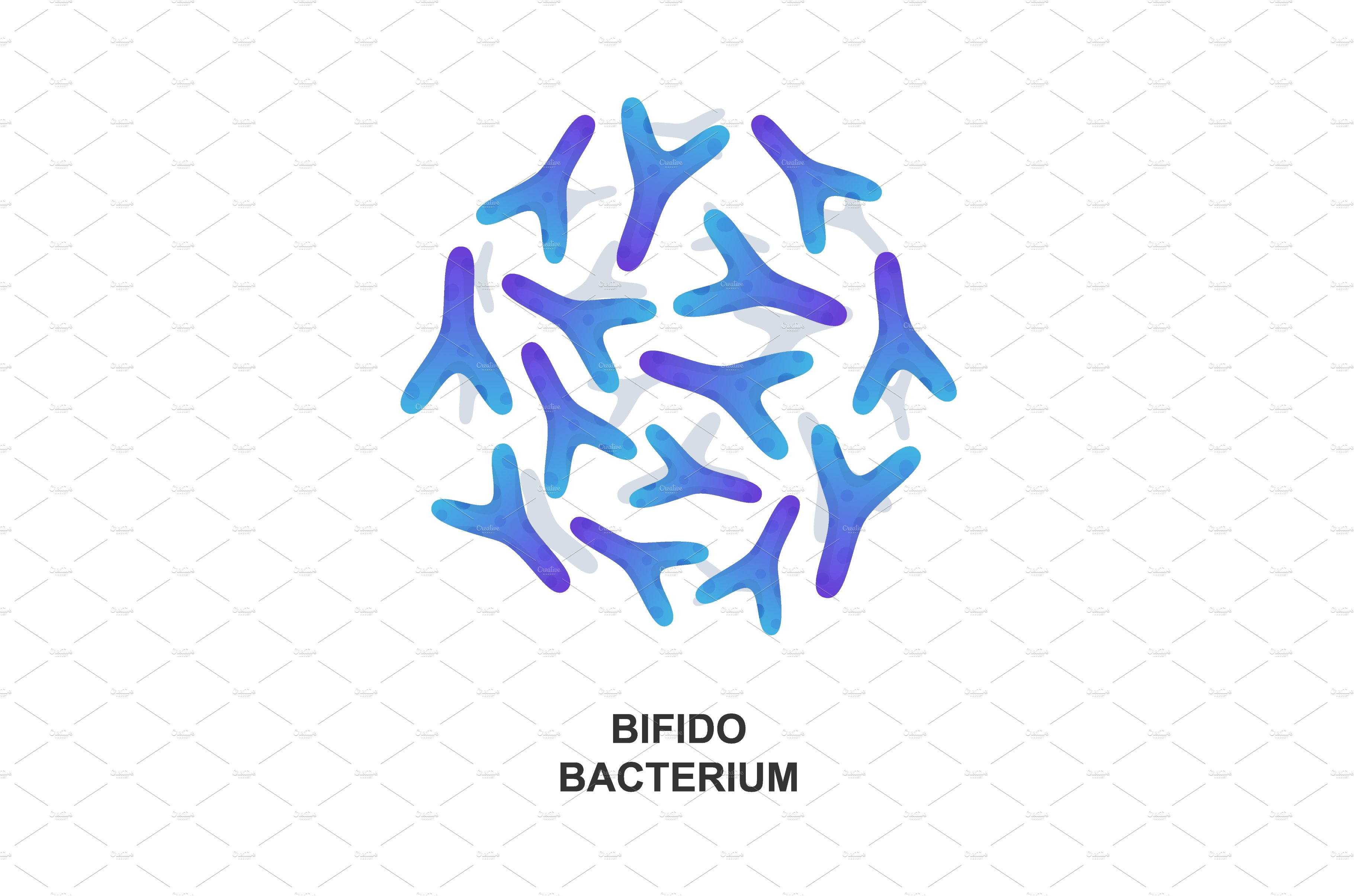 Bifidobacterium. Probiotic bacteria cover image.