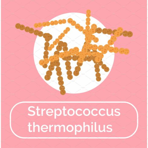 Streptococcus Thermophilus Bacteria cover image.