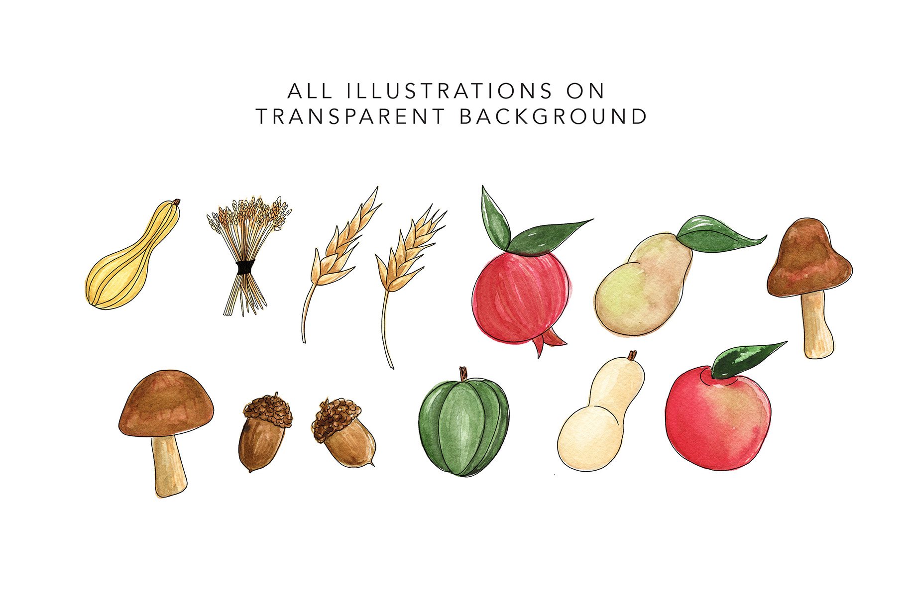 Watercolor Fall Produce preview image.
