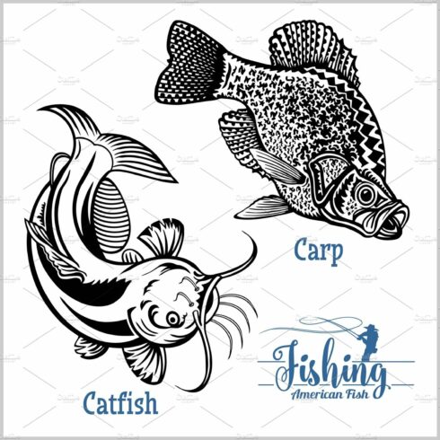 Catfish and Carp fishing on usa cover image.