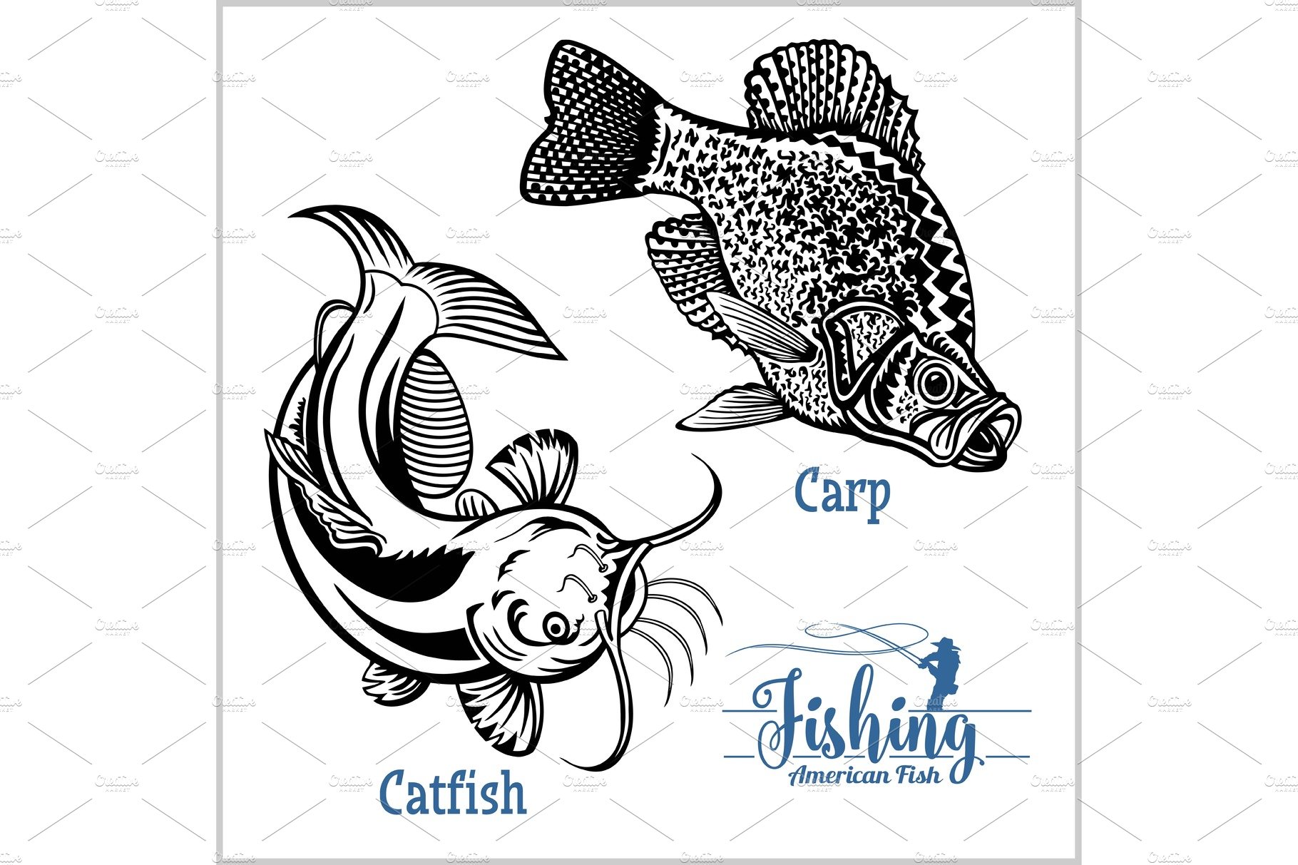Catfish and Carp fishing on usa cover image.
