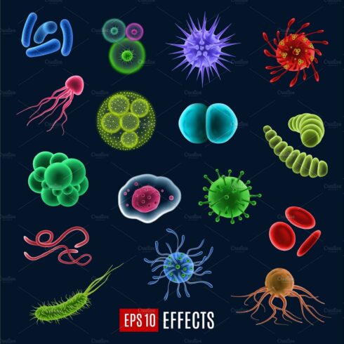 Vector germ, bacteria and virus cover image.