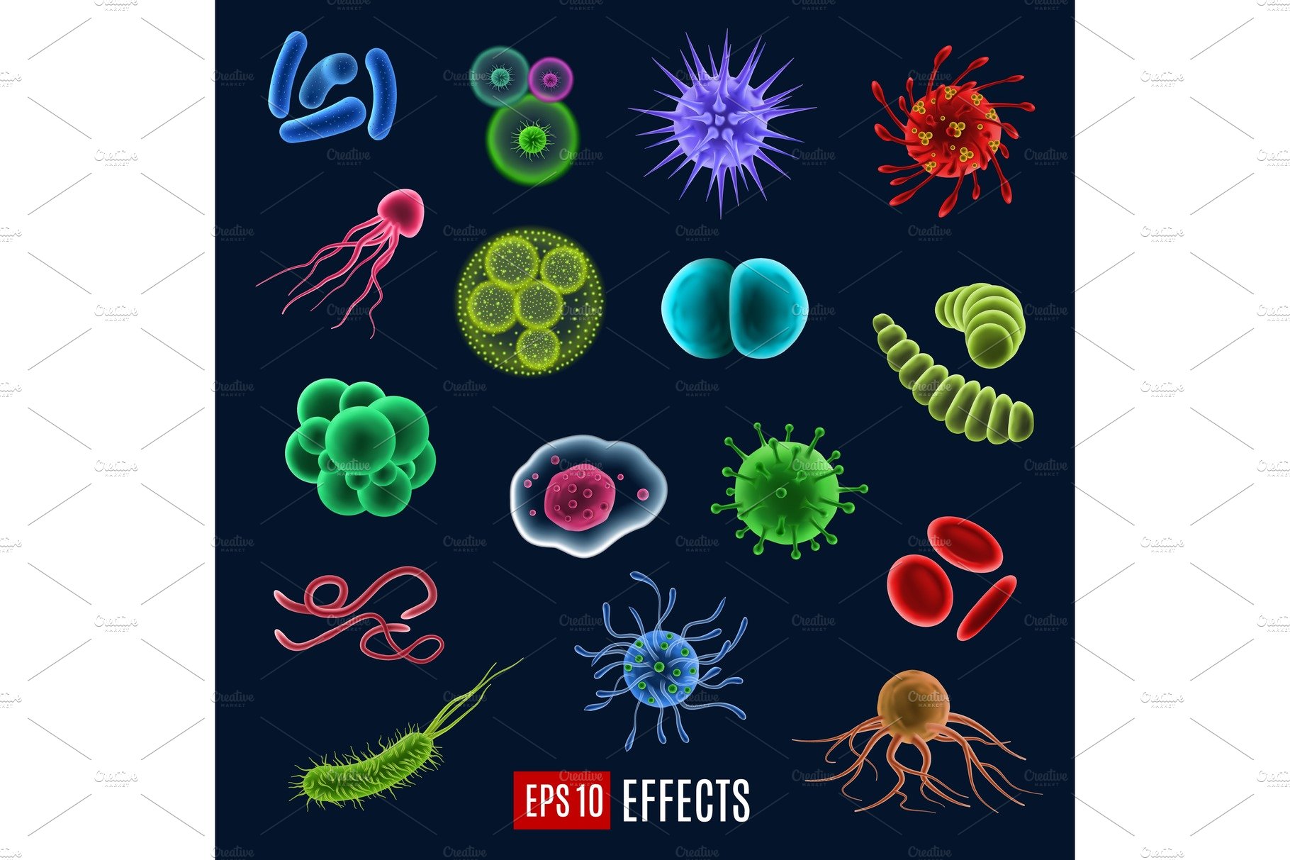 Vector germ, bacteria and virus cover image.