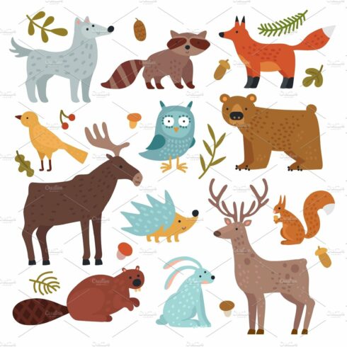 Forest animals. Wolf, raccoon and cover image.