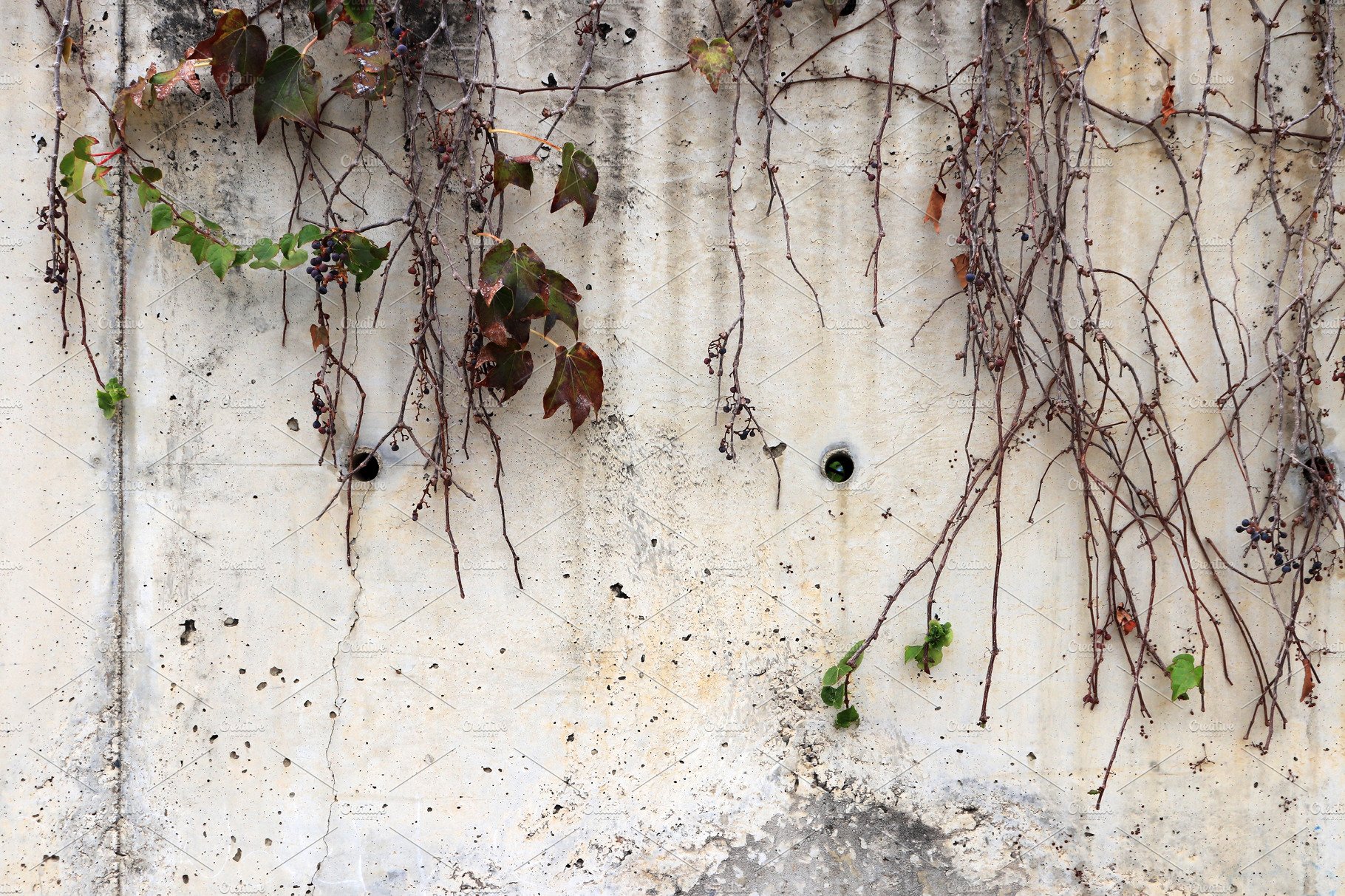 White concrete wall texture cover image.