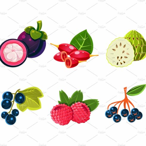 Fresh ripe fruits and berries set cover image.
