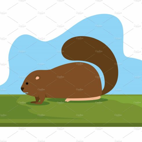 beaver canadian animal scene cover image.