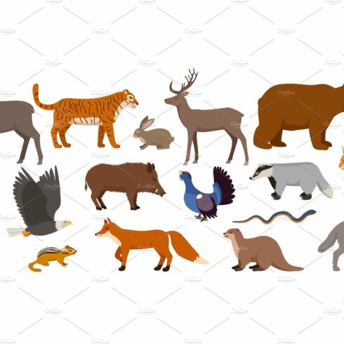 Forest animals isolated on white set cover image.