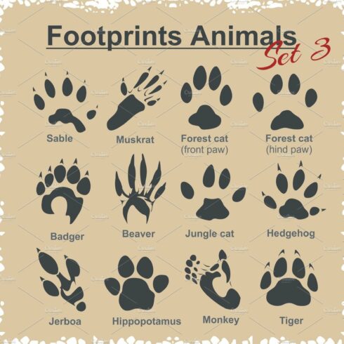 Footprints Animals - vector set. cover image.