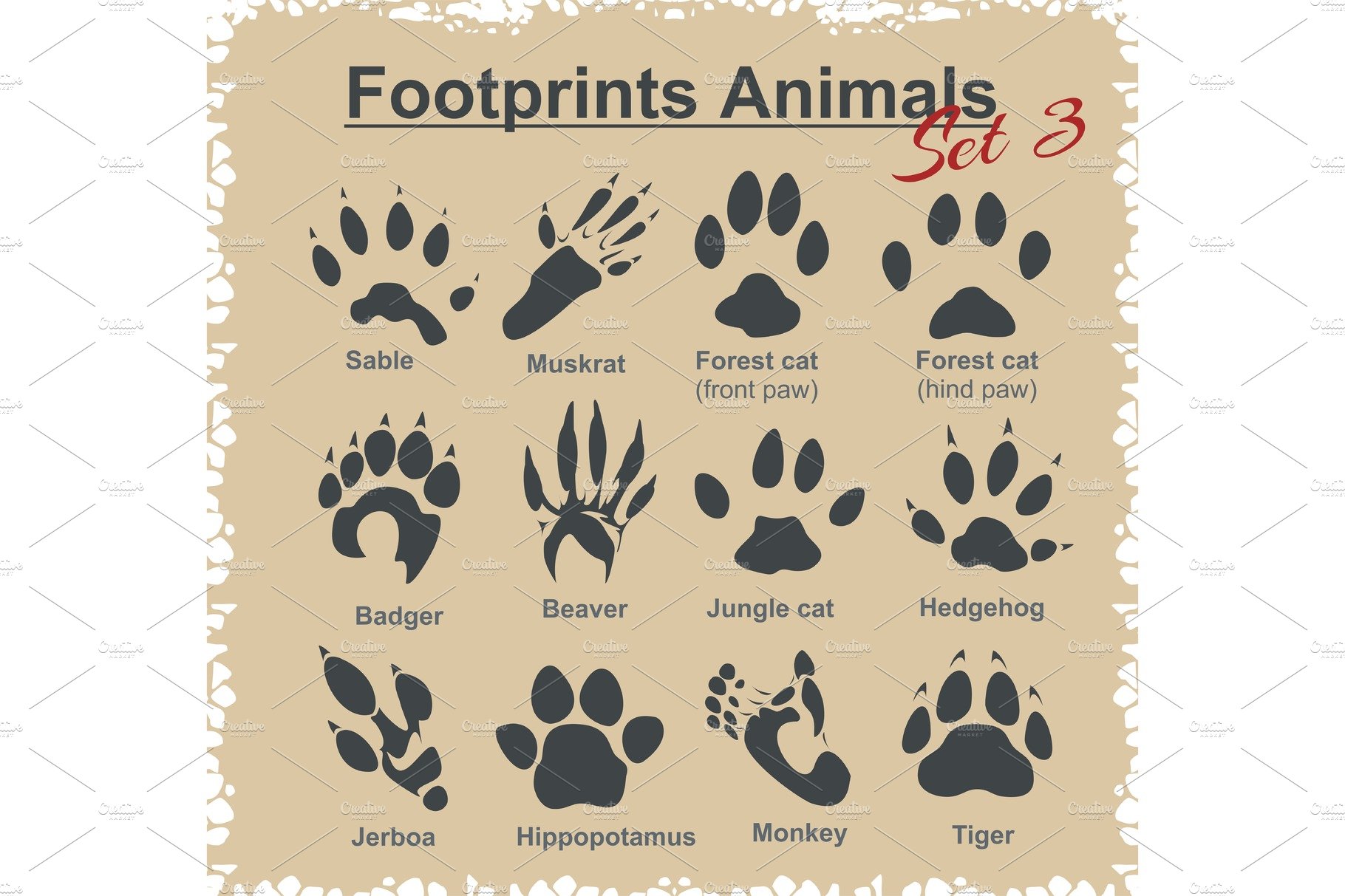 Footprints Animals - vector set. – MasterBundles