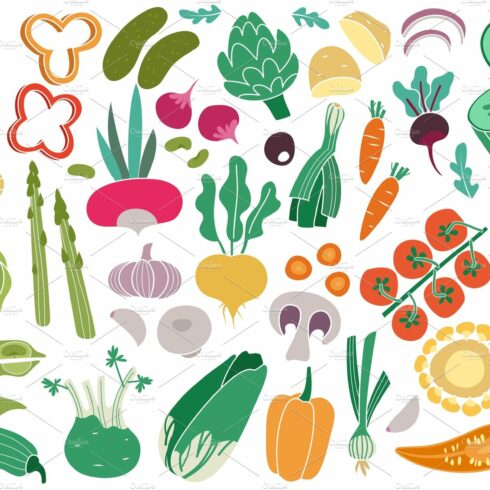 Color vegetables. Tomato zucchini cover image.