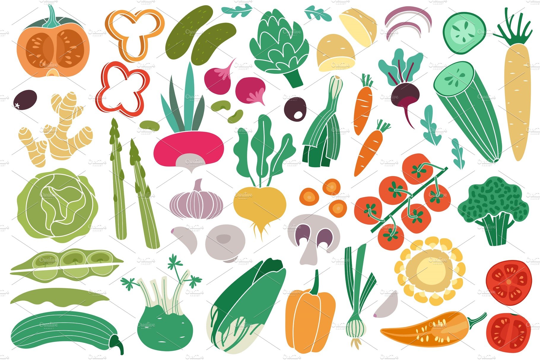 Color vegetables. Tomato zucchini cover image.