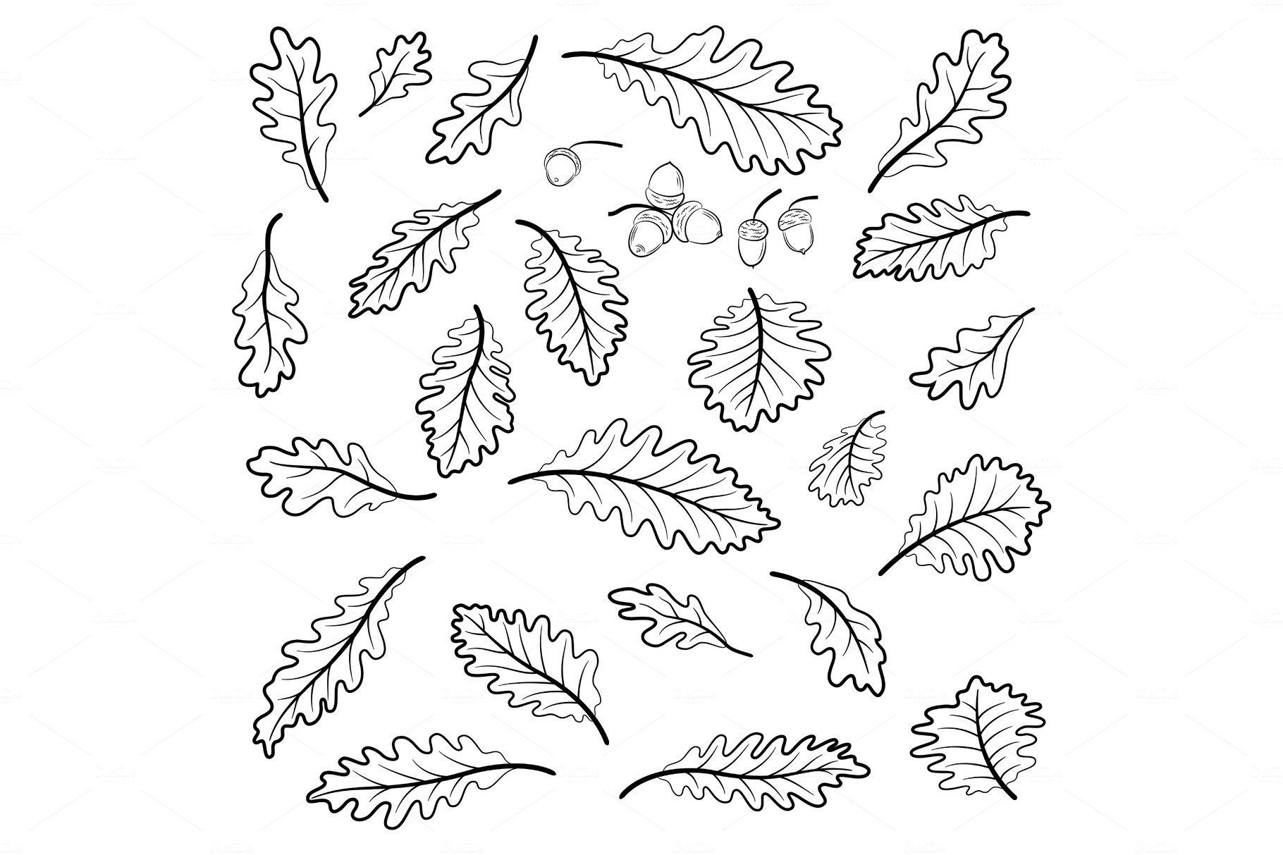Oak Leaves and Acorns Pictograms cover image.